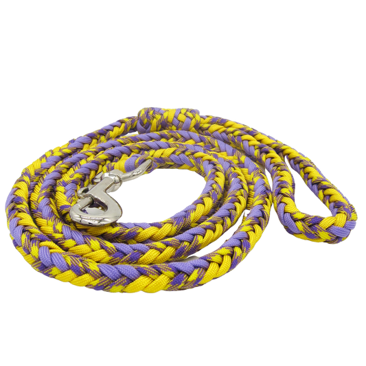 Purple and Gold Paracord Leash