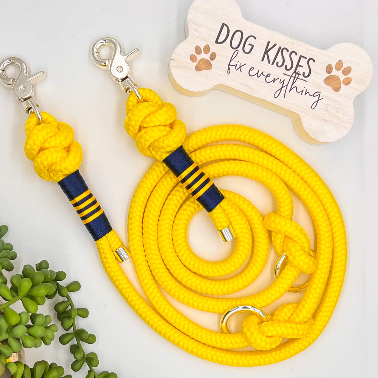 Lemon Burst - Adjustable Leash