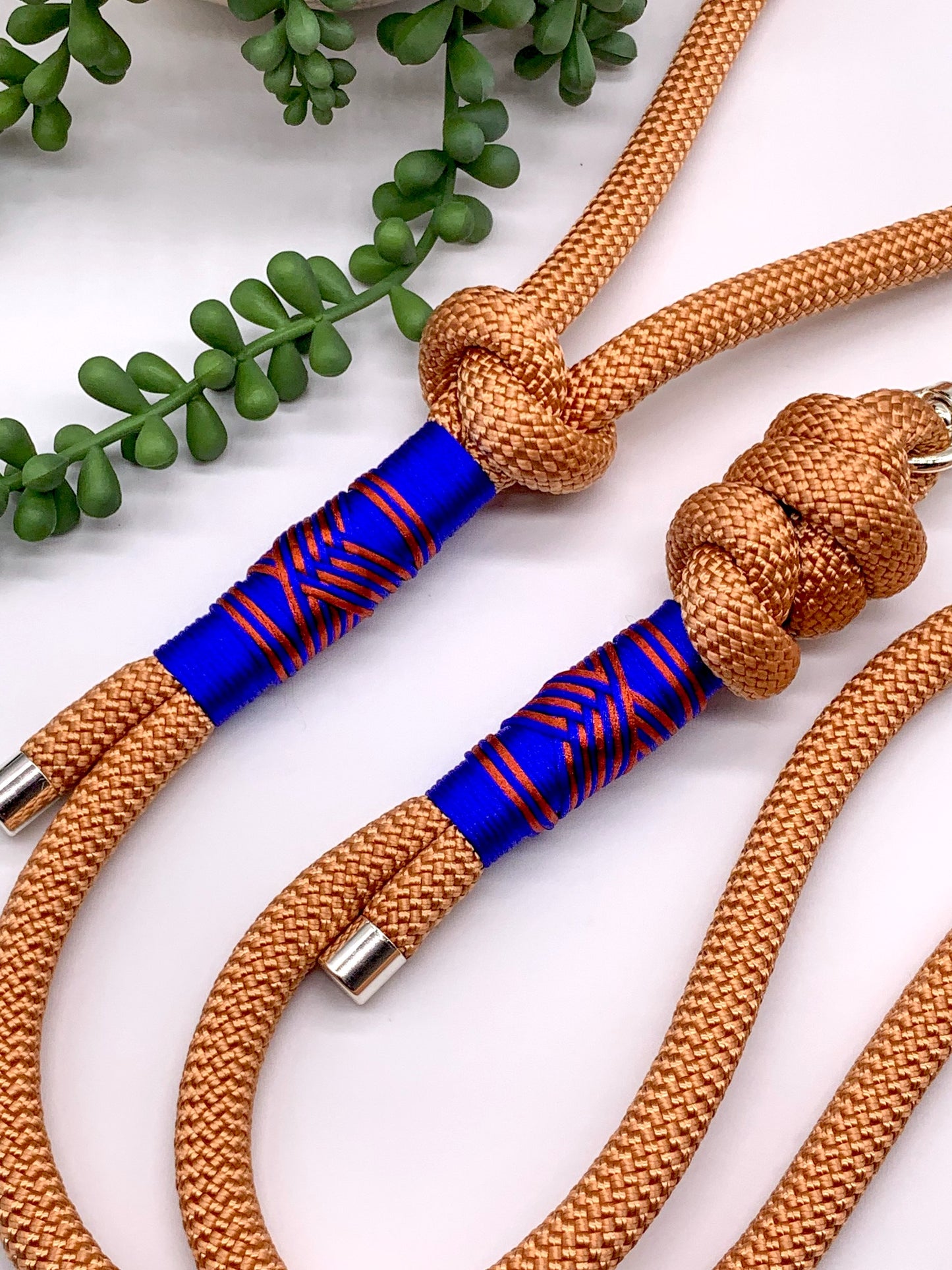 Copper PPM rope dog leash with royal blue and rust accent thread in a chevron pattern with silver hardware. 