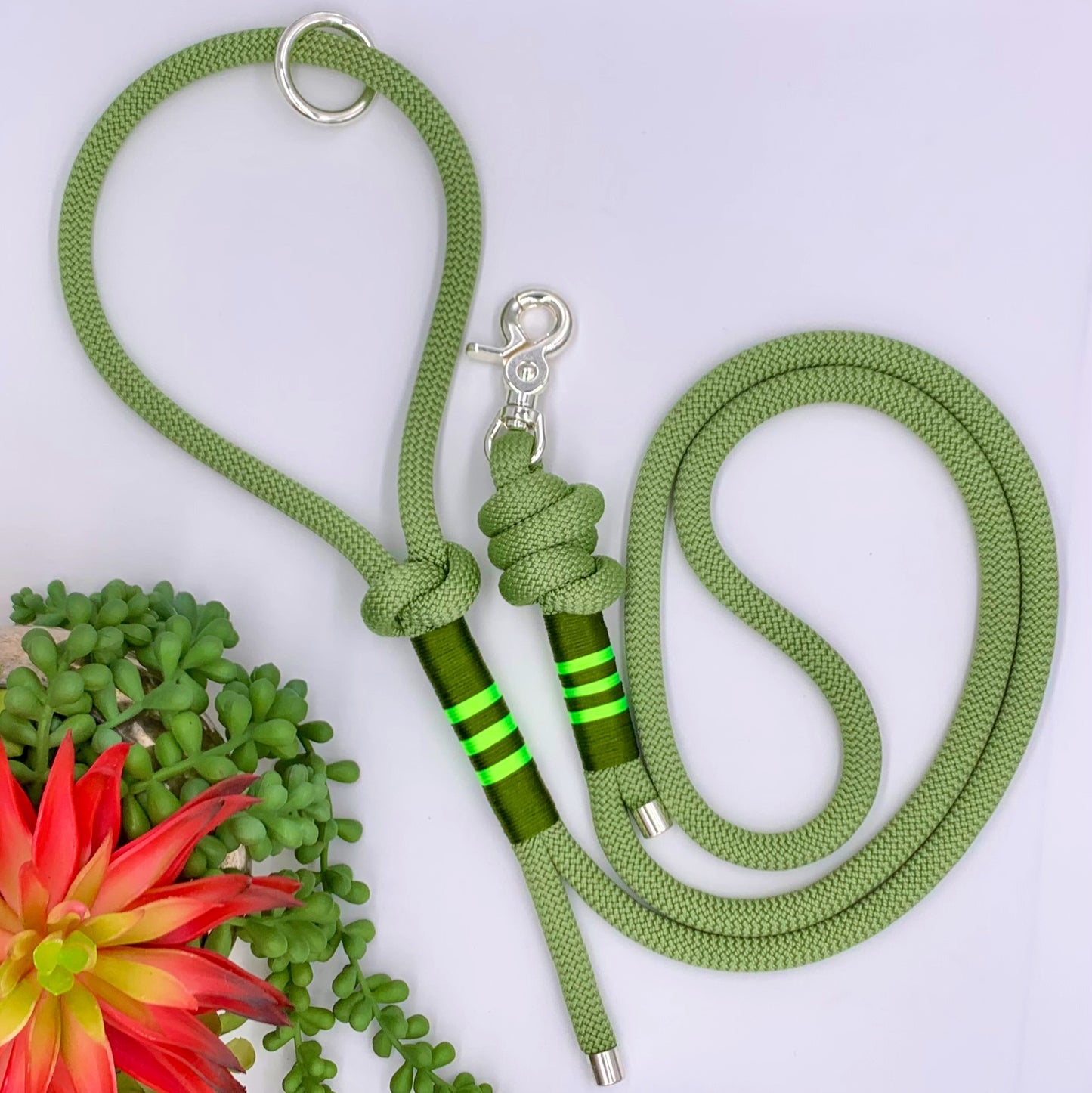 Green nylon rope leash with green accen thread and silver hardware. 