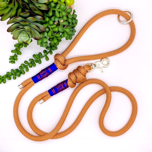 Copper PPM rope dog leash with royal blue and rust accent thread in a chevron pattern with silver hardware. 