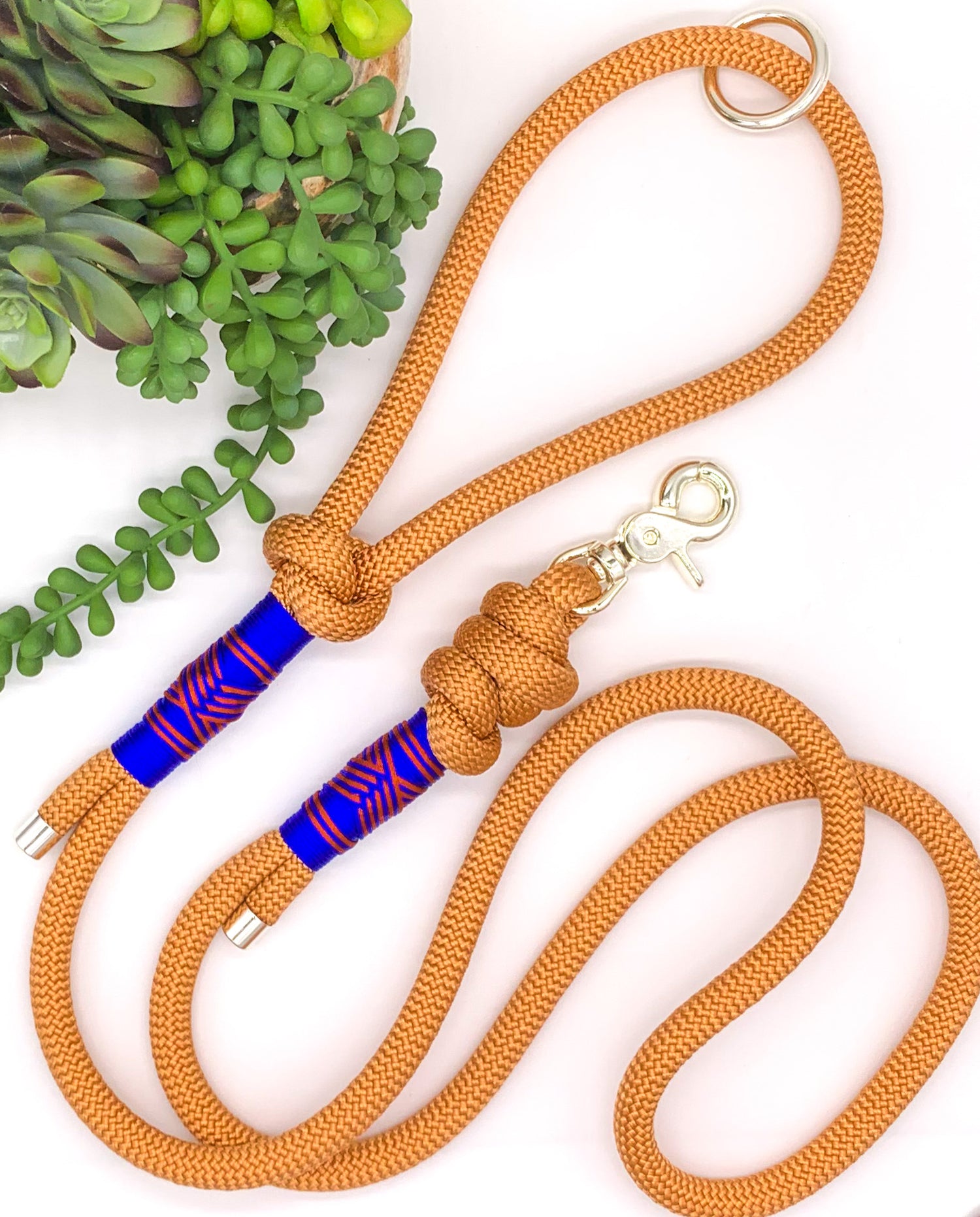 Copper PPM rope dog leash with royal blue and rust accent thread in a chevron pattern with silver hardware. 