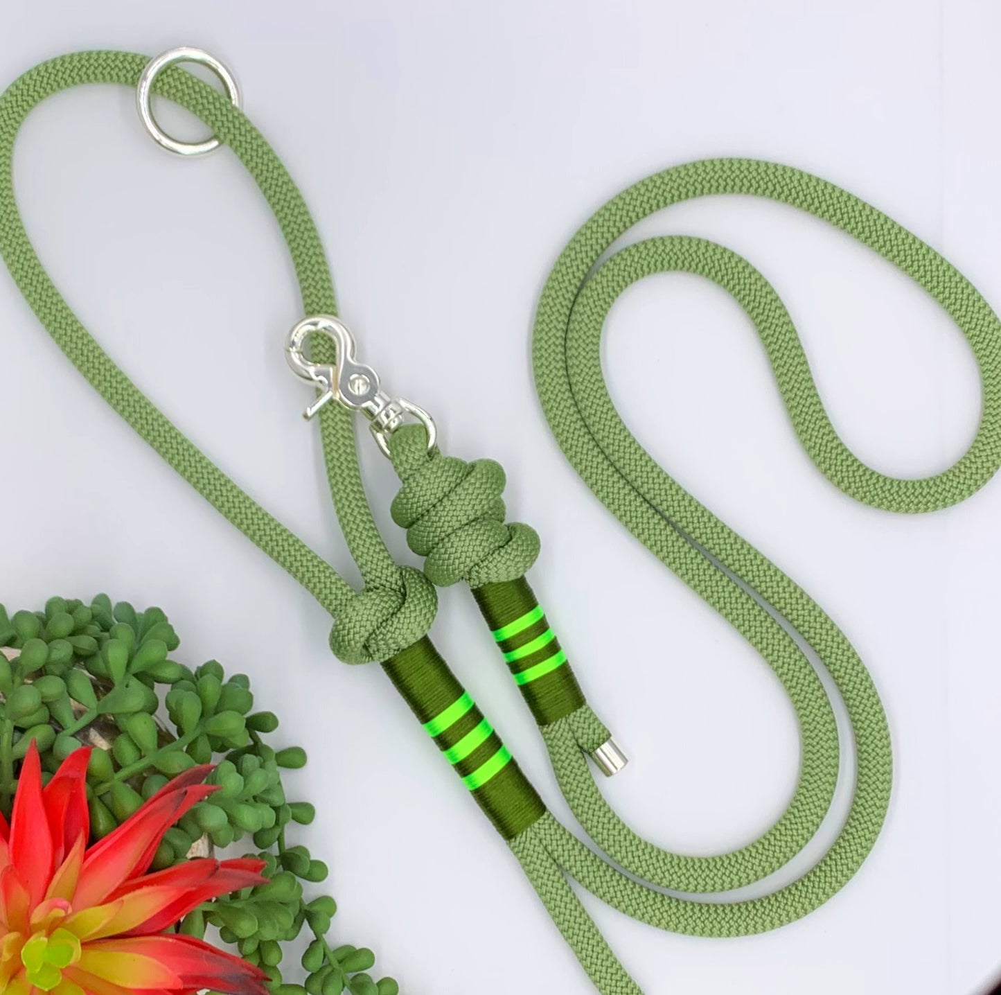 Green nylon rope leash with green accen thread and silver hardware. 